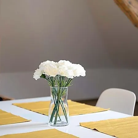 Hotel apartamentowy Pytloun 4*